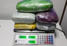 Cadela policial encontra seis quilos de haxixe escondidos em caixa de papelão