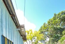 Corpo em estado avançado de decomposição é encontrado em igarapé no Centro de Manaus