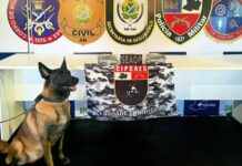 Base Arpão 3: Mulher é presa com mais de R$ 100 mil em droga dentro de mala