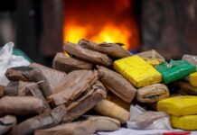 Governo do Amazonas inicia incineração de 40 toneladas de drogas apreendidas