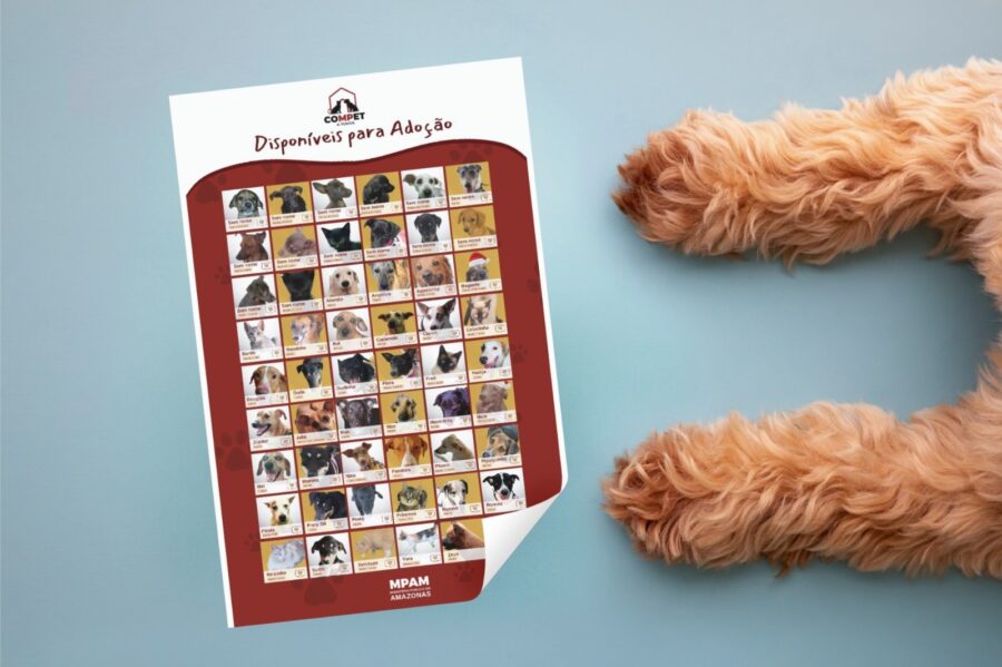 WhatsApp Image 2025-07-29 at 17.27.27