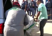 Criança de 2 anos morre após ser atacada pelo pitbull da família