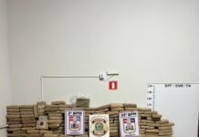 Operação conjunta da PF e PM apreende quase uma tonelada de skunk no Pará