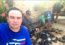 Mansão com criadouro particular de quelônios do ex-prefeito de Eirunepé levanta suspeitas de enriquecimento ilícito e crimes ambientais