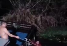 Balsa com gado afunda no Careiro da Várzea e causa morte de animais