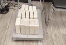 PF e PRF prendem mulher com cerca de 14kg de pasta base de cocaína na Serra das Araras
