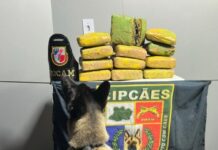 Base Arpão: PMAM apreende droga escondida dentro de sacos com macaxeira