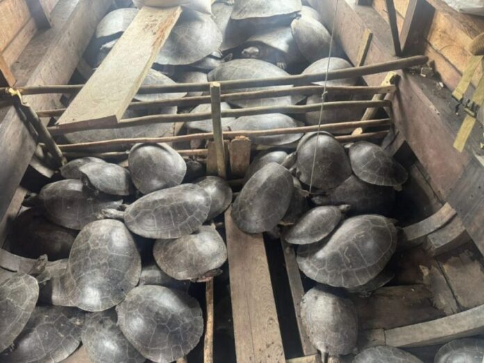 WhatsApp-Image-2025-08-26-at-15.29.27-1024x768