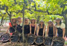 Confraria Vinhos & Elas promove experiência enoturística exclusiva para mulheres na Serra Gaúcha
