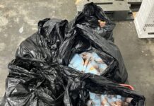 Linguiça podre é apreendida em mercadinho no Educandos