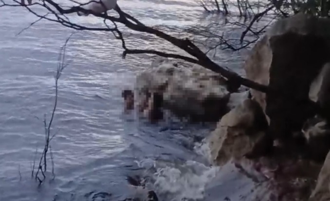 WhatsApp-Image-2025-09-08-at-11.21.22