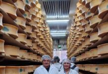 Queijo manteiga parintinense é bronze no maior concurso mundial na França