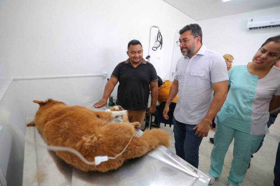 Balanco-Hospital-Veterinario_Foto_Diego-Peres_Secom-1-1024x682