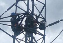 Bicho-preguiça deixa bairros da zona Norte sem energia neste domingo (12/10)