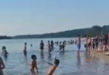 VÍDEO: Banhistas são atacados por piranha no Miriti em Manacapuru