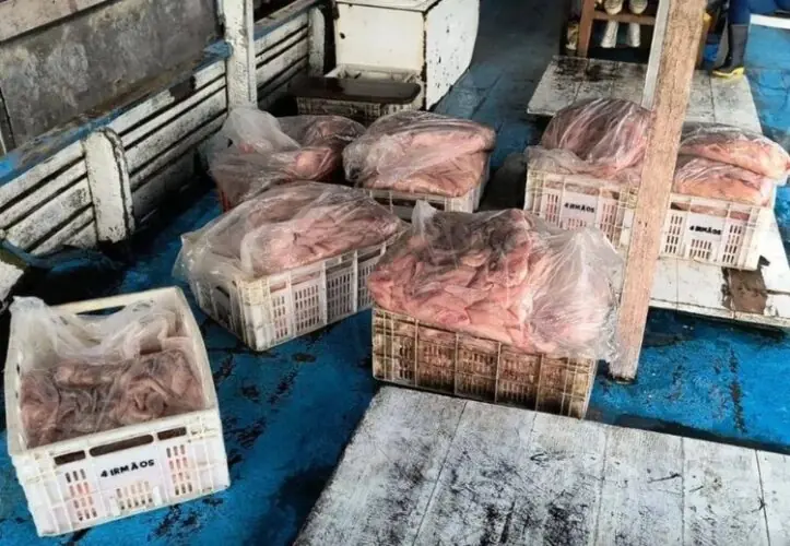 img-6866-01-10-2025-09-44-20-01-10-2025_09-44-20