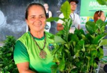 AGRICULTURA E DESENVOLVIMENTO: Prefeitura de Manacapuru lança quadro ‘Manacá Agro’ para valorizar o agronegócio local