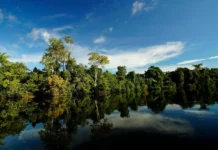 Amazônia Verde propõe transformar conectividade e sustentabilidade para comunidades ribeirinhas