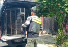 Após ameaçar a própria mãe com uma f4c4, homem é preso em Manaus