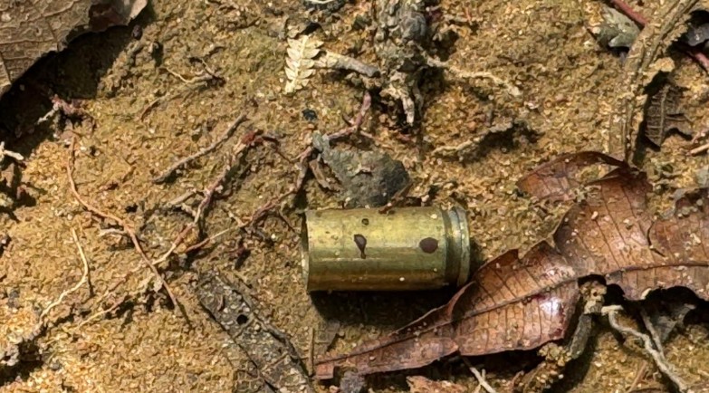 Captura de tela 2025-11-25 115315