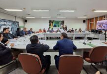 CAS 321 analisa investimentos de R$ 1,194 bilhão e geração de 2.290 empregos