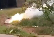 Mulher m0rre eletrocutada após cabo de alta tensão cair nela em Manacapuru