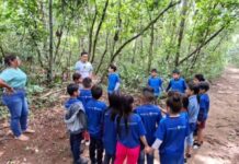 Cesit/UEA promove imersão ambiental para crianças e adolescentes