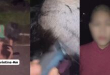 Influenciadora é punida após vídeo de agressão contra adolescente em Parintins
