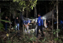 Mulher é m0rt4 em mata da Ufam e marido é agredido por populares no Coroado