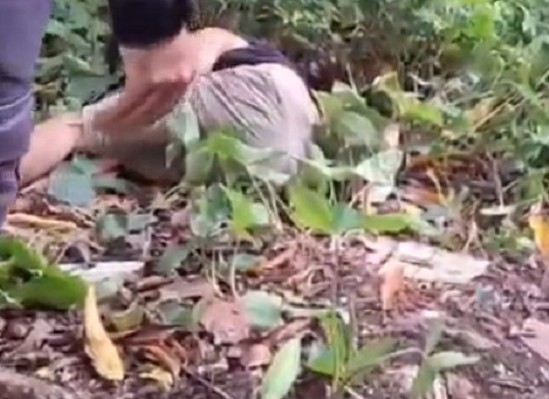 Captura de tela 2026-03-30 163040