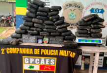 Polícia apreende maconha avaliada em R$ 1,1 milhão, em Benjamin Constant