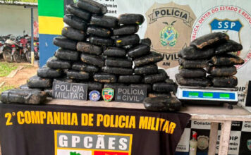 Polícia apreende maconha avaliada em R$ 1,1 milhão, em Benjamin Constant