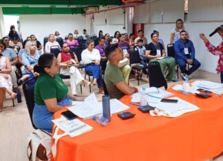 Profissionais de Parintins apresentam experiências na II Mostra “Aqui Tem SUS”