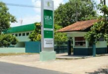 UEA abre seleção com bolsas de R$ 2,2 mil para atuação em laboratórios no interior