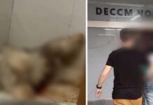 Homem é preso por m4t4r o cachorro e divulgar vídeos da ex-namorada por vingança em Manaus