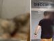 Homem é preso por m4t4r o cachorro e divulgar vídeos da ex-namorada por vingança em Manaus