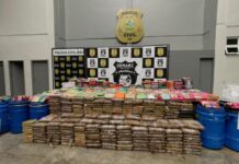Denarc apreende aproximadamente 700 quilos de drogas no Amazonas avaliadas em 12,8 milhões