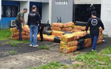 Polícia apreende 2,5 toneladas de entorpecentes em ação conjunta em Coari