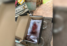 Fet0 é deixado em caixa de sapato em beco em Itacoatiara