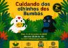 CUIDANDO DOS OLHINHOS DOS BUMBÁS: Projeto realiza 2ª edição voltada às crianças de Caprichoso e Garantido