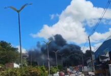 VÍDEO: Área de mata pega fogo e assusta pedestres no Nova Cidade
