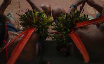 MP-AM apura negligência no monitoramento de crianças Yanomami com desnutrição grave, em Santa Isabel do Rio Negro