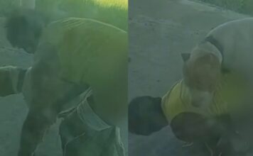 Homem é preso em Presidente Figueiredo, após usar cachorro para sex0 e filmar tudo