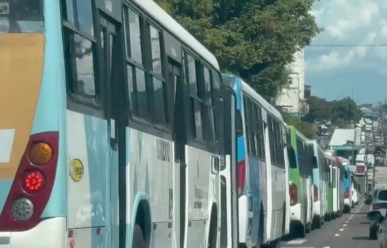 rodoviarios