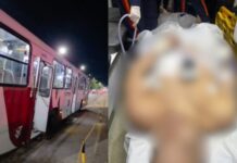 Dois homens são presos e mais um é bale4d0 durante assalt0 a coletivo na zona Norte de Manaus