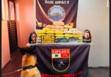 Forças de Segurança apreendem 58 quilos de skunk avaliados em R$ 1,1 milhão em Coari