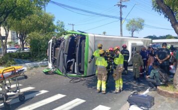 VÍDEO: Ônibus bate em árvore e capota na Avenida São Jorge, deixando passageiros feridos