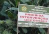 MP-AM investiga ocupação irregular em área de preservação permanente localizada em Iranduba