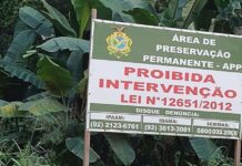 MP-AM investiga ocupação irregular em área de preservação permanente localizada em Iranduba