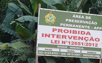 MP-AM investiga ocupação irregular em área de preservação permanente localizada em Iranduba